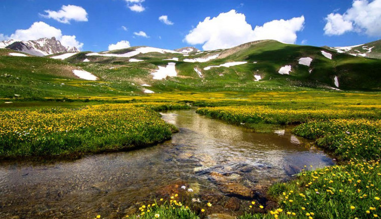 Van-Hakkari-Şırnak-Siirt-Diyarbakır